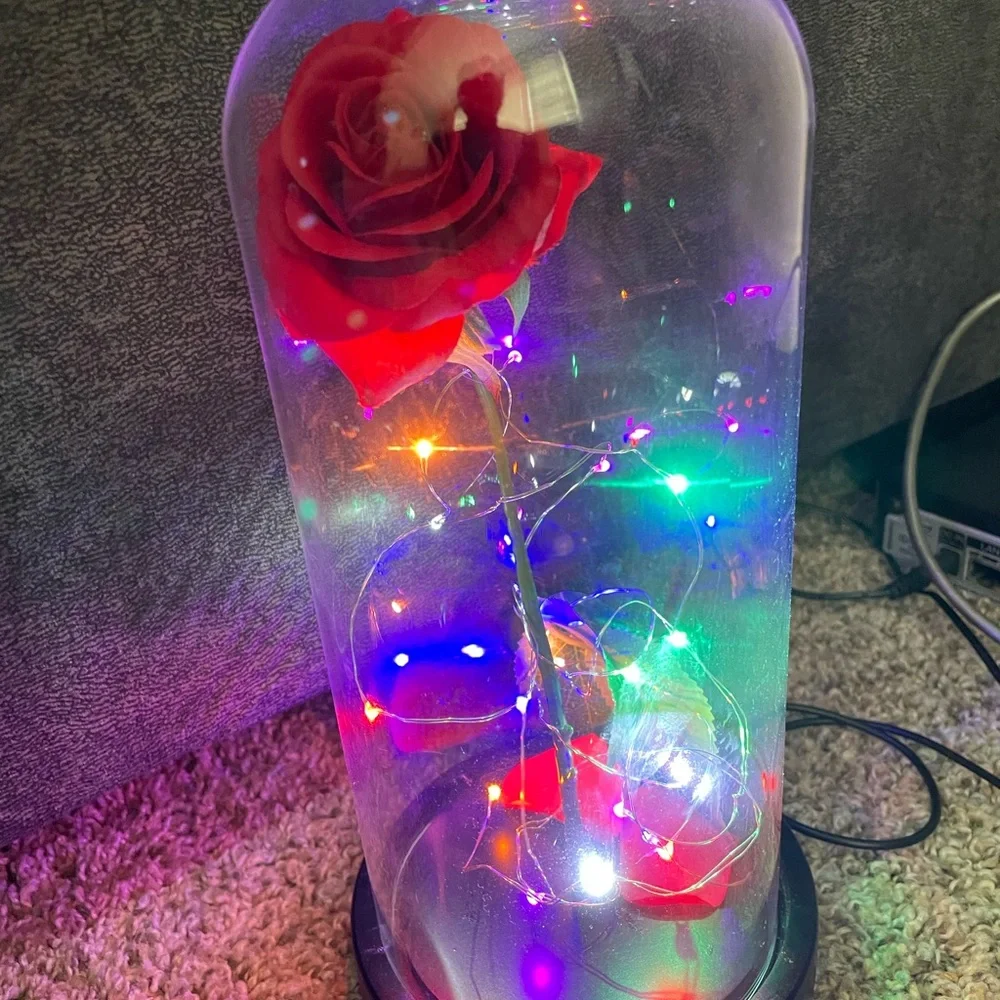 USB Beauty and the Beast  nightlight